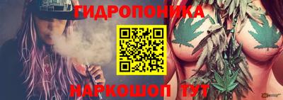 кокс Моздок