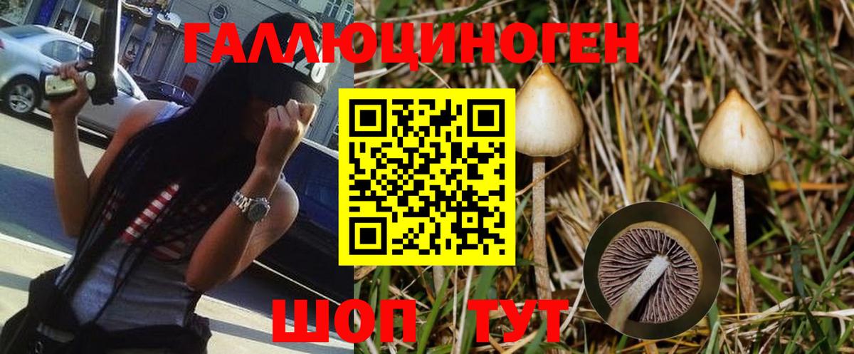 Псилоцибиновые грибы ЛСД Алатырь