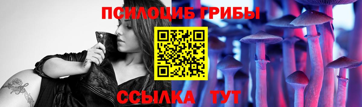 Псилоцибиновые грибы Psilocybe  Вход с VPN  Алатырь 